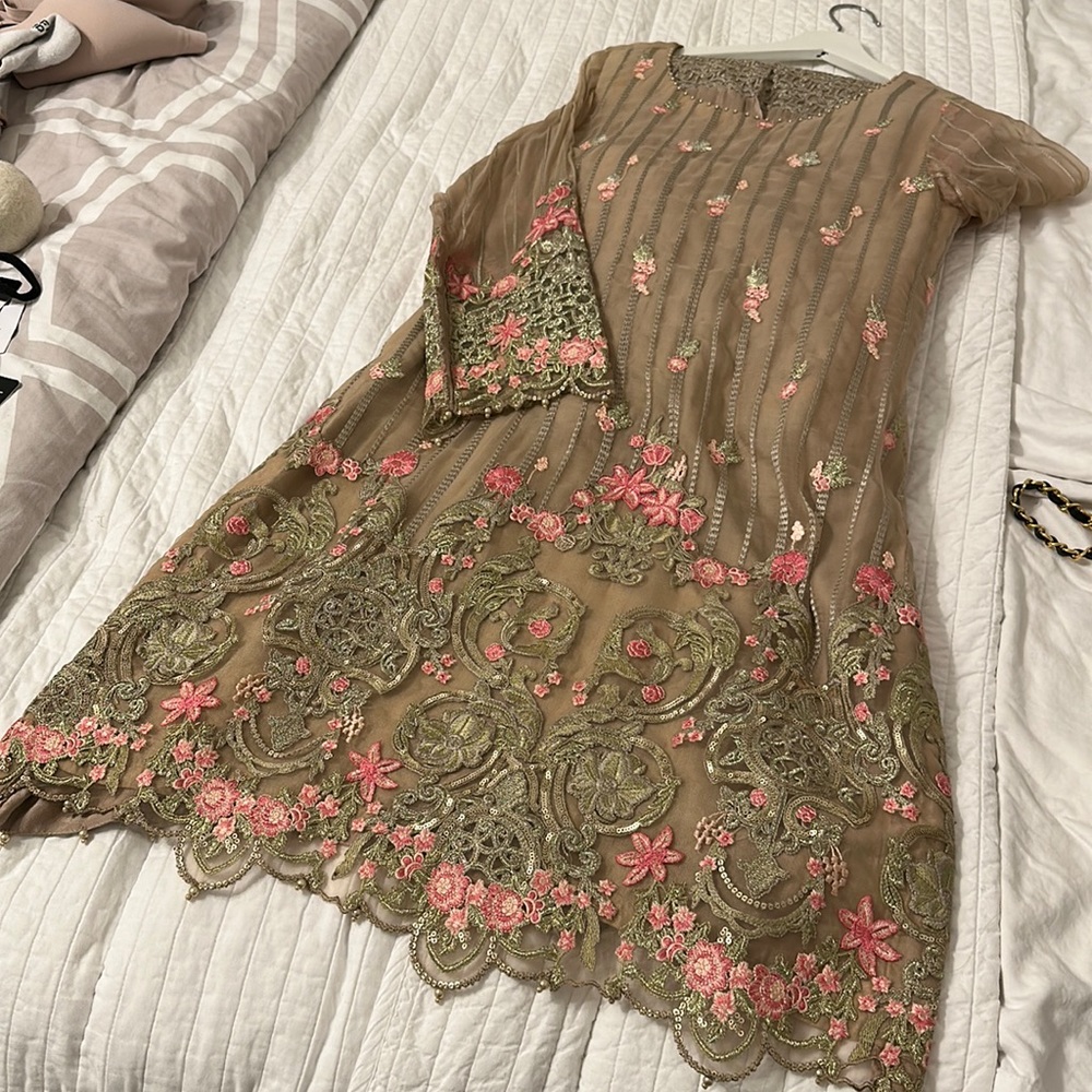 Chiffon Pakistani suit- unbranded